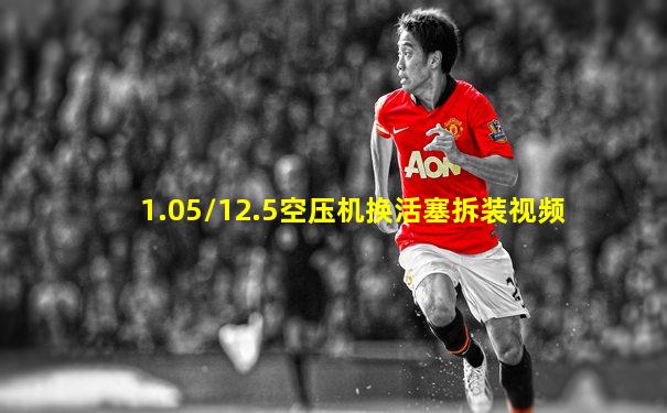 1.05/12.5空压机换活塞拆装视频