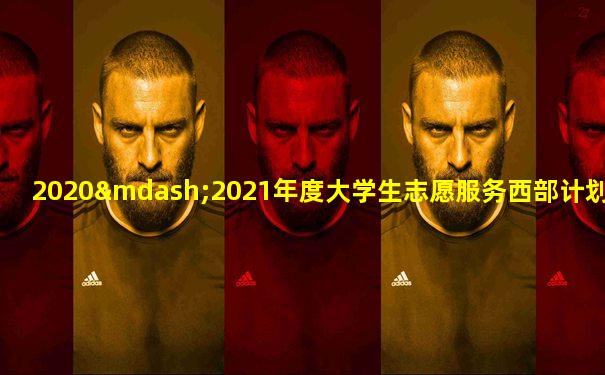 2020—2021年度大学生志愿服务西部计划实施方案