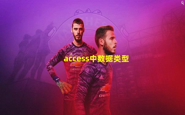 access中数据类型
