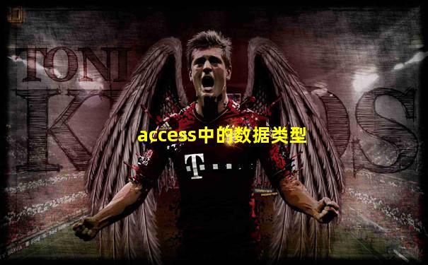 access中的数据类型