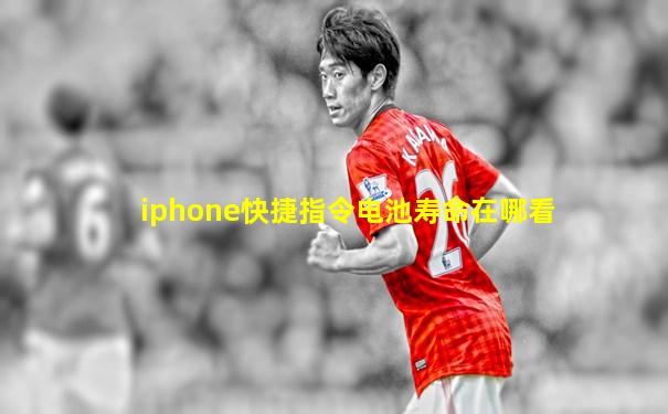 iphone快捷指令电池寿命在哪看
