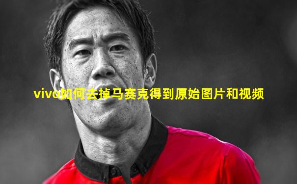 vivo如何去掉马赛克得到原始图片和视频