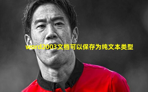 word2003文档可以保存为纯文本类型