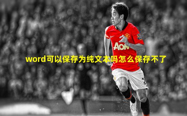 word可以保存为纯文本吗怎么保存不了