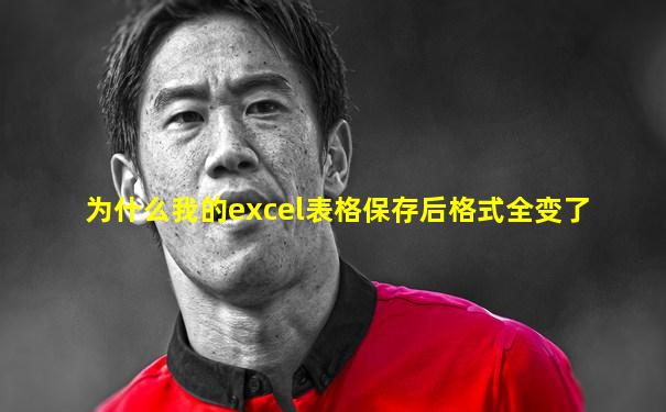 为什么我的excel表格保存后格式全变了