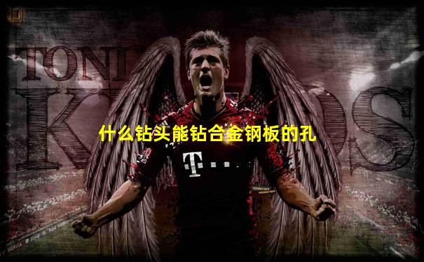 什么钻头能钻合金钢板的孔