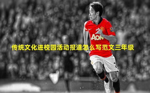 传统文化进校园活动报道怎么写范文三年级