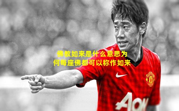 佛教如来是什么意思为何每座佛都可以称作如来