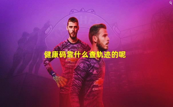 健康码靠什么查轨迹的呢