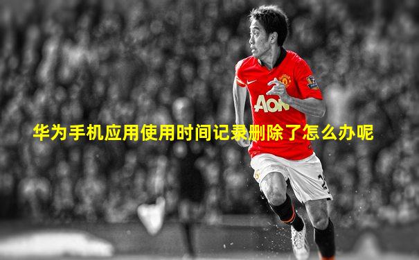 华为手机应用使用时间记录删除了怎么办呢