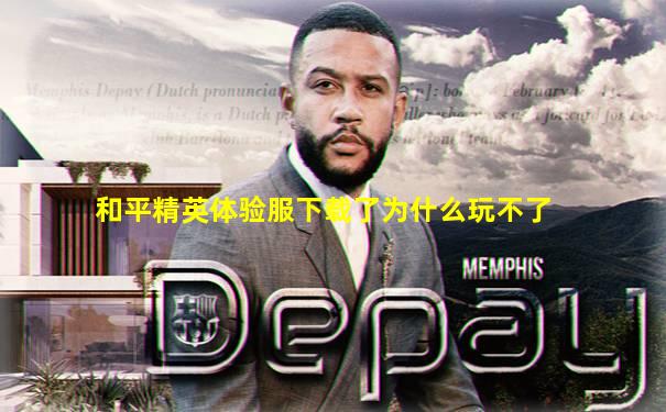 和平精英体验服下载了为什么玩不了