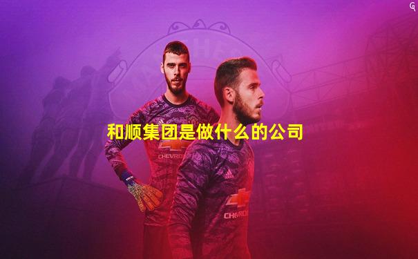 和顺集团是做什么的公司