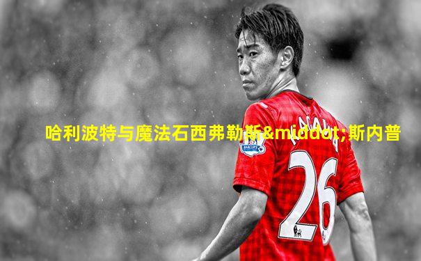 哈利波特与魔法石西弗勒斯·斯内普