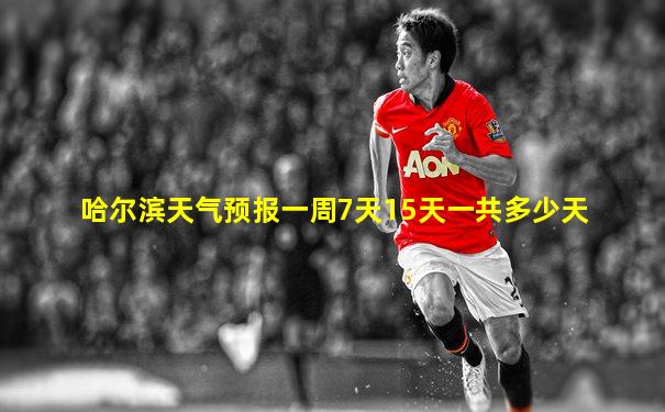 哈尔滨天气预报一周7天15天一共多少天