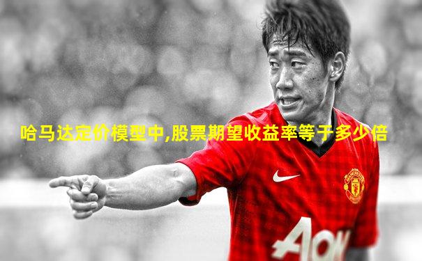 哈马达定价模型中,股票期望收益率等于多少倍