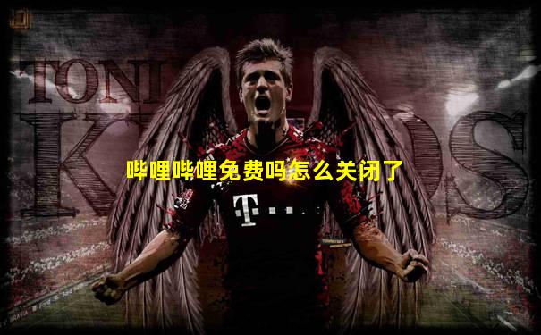 哔哩哔哩免费吗怎么关闭了