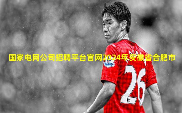 国家电网公司招聘平台官网2024年安徽省合肥市