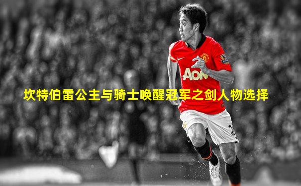 坎特伯雷公主与骑士唤醒冠军之剑人物选择