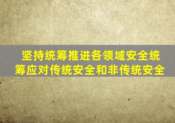 坚持统筹推进各领域安全统筹应对传统安全和非传统安全