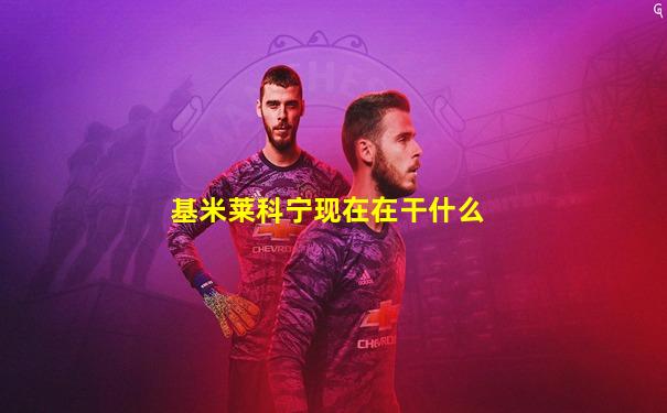 基米莱科宁现在在干什么