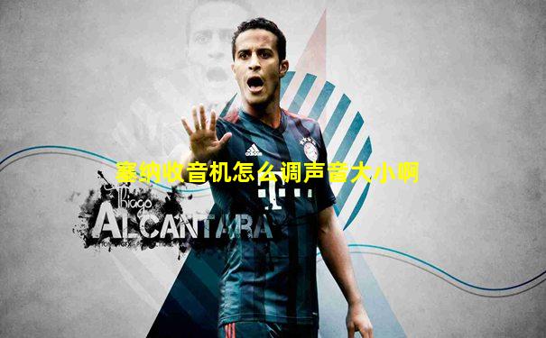 塞纳收音机怎么调声音大小啊