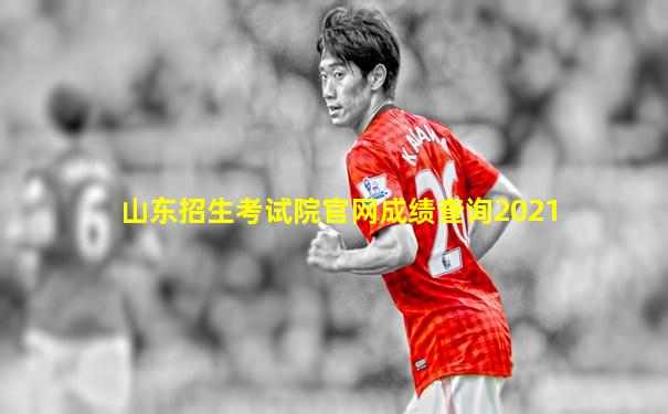 山东招生考试院官网成绩查询2021