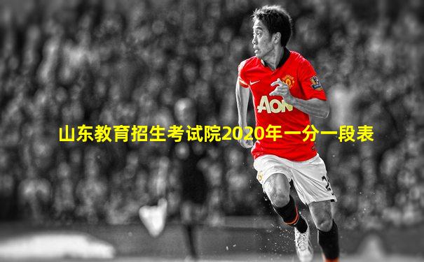 山东教育招生考试院2020年一分一段表