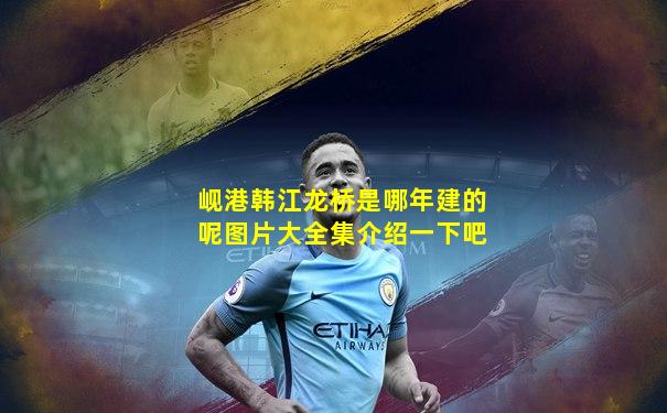 岘港韩江龙桥是哪年建的呢图片大全集介绍一下吧