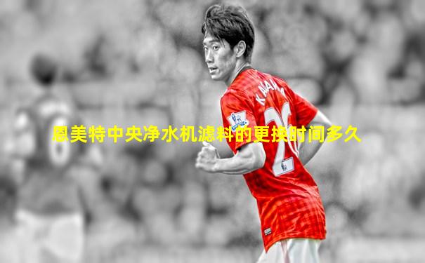 恩美特中央净水机滤料的更换时间多久