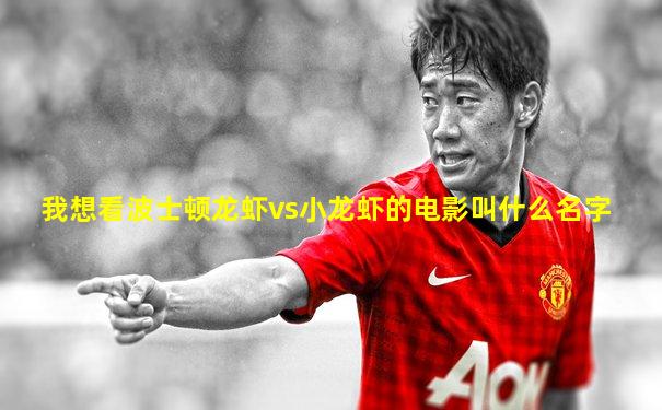 我想看波士顿龙虾vs小龙虾的电影叫什么名字