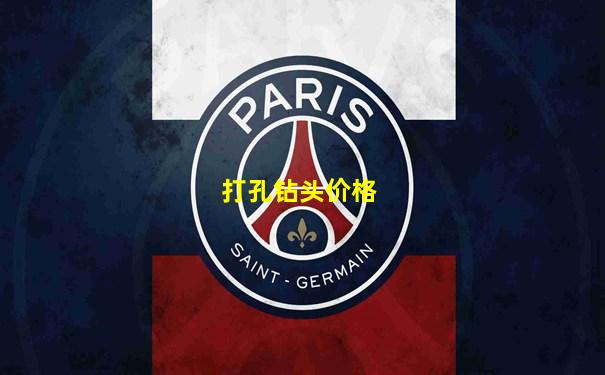 打孔钻头价格