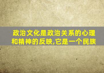 政治文化是政治关系的心理和精神的反映,它是一个民族