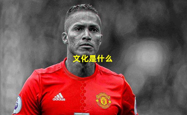 文化是什么