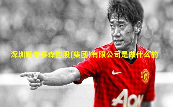 深圳顺丰泰森控股(集团)有限公司是做什么的