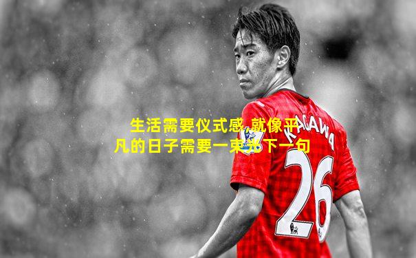 生活需要仪式感,就像平凡的日子需要一束光下一句