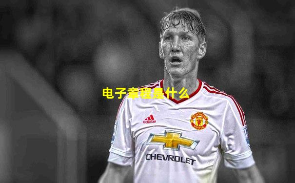 电子章程是什么