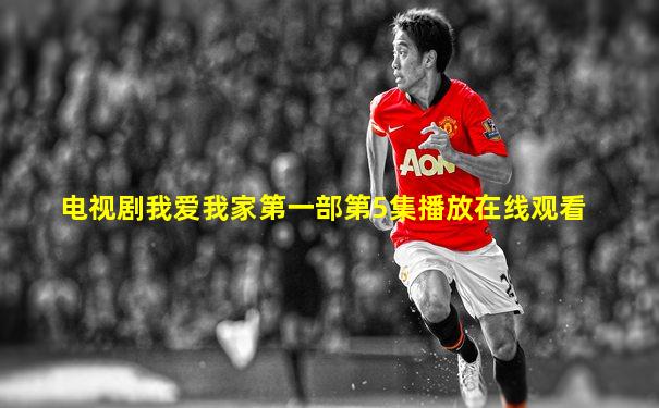电视剧我爱我家第一部第5集播放在线观看