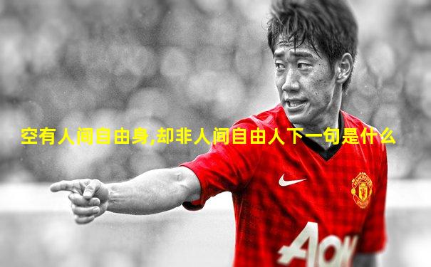 空有人间自由身,却非人间自由人下一句是什么