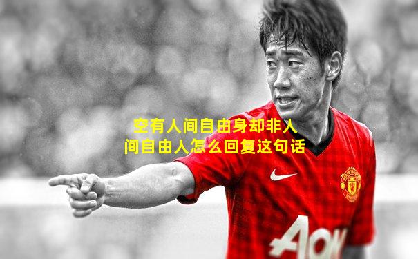 空有人间自由身却非人间自由人怎么回复这句话