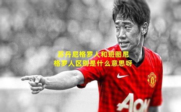 苏丹尼格罗人和班图尼格罗人区别是什么意思呀