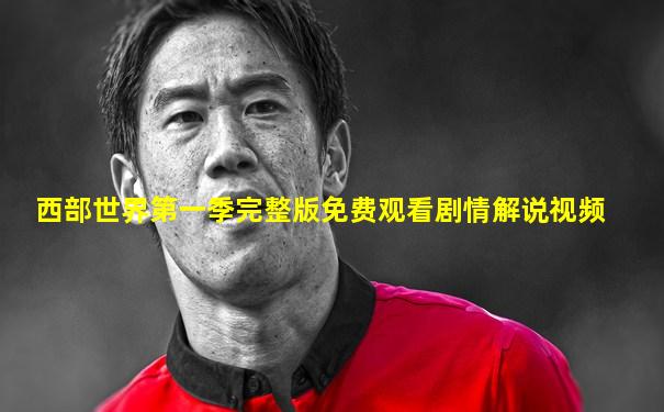 西部世界第一季完整版免费观看剧情解说视频