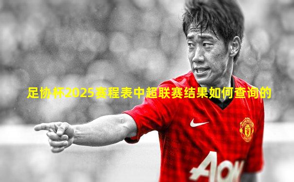 足协杯2025赛程表中超联赛结果如何查询的