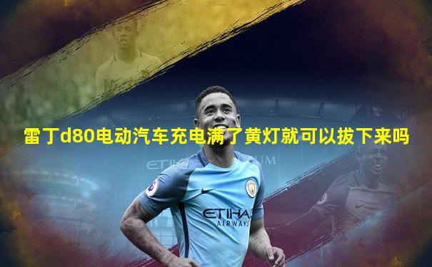 雷丁d80电动汽车充电满了黄灯就可以拔下来吗