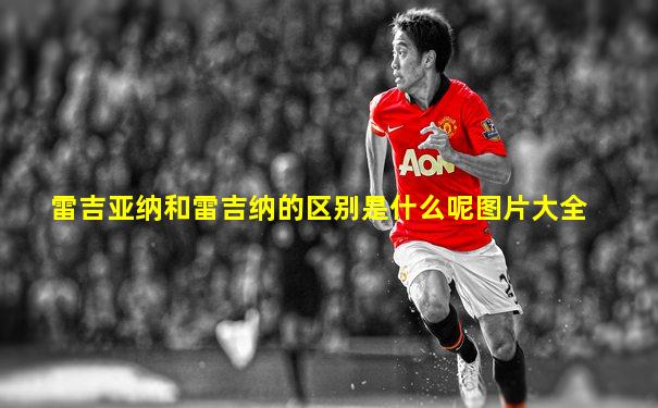 雷吉亚纳和雷吉纳的区别是什么呢图片大全